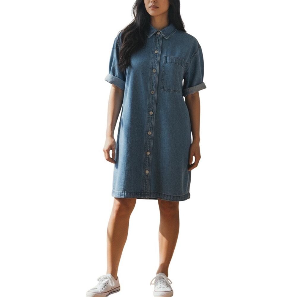 Madewell Springvale Blue Cotton Denim Button Front Shirt Dress